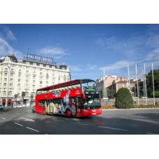 Madrid 1 Day Family Tickets Tour