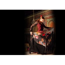 Flamenco Show and Tapas Menu